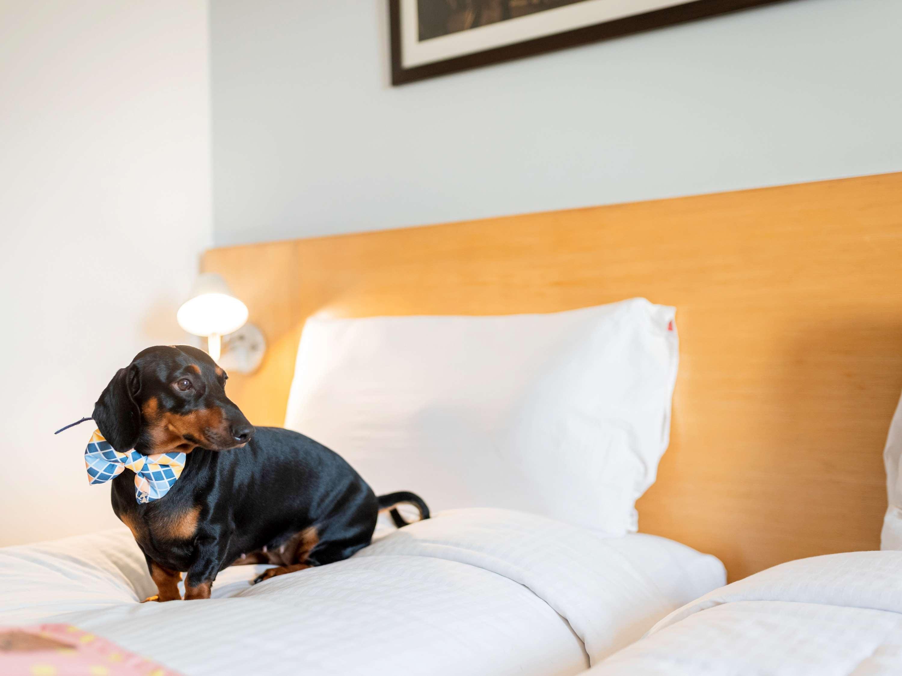 Ibis Coimbatore City Centre - An Accor Brand Экстерьер фото