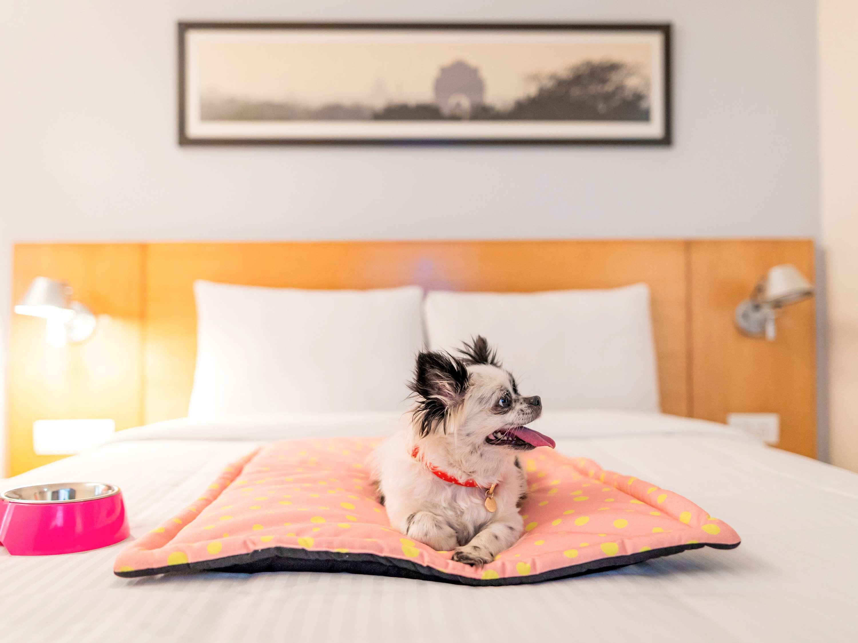 Ibis Coimbatore City Centre - An Accor Brand Экстерьер фото